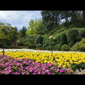 Meet your Posher, Raquel